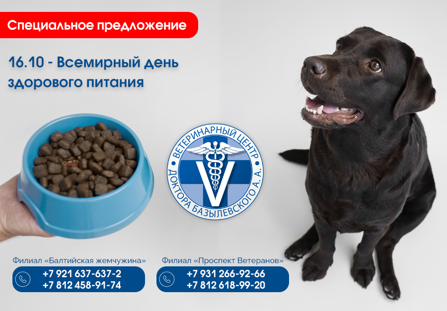 Специальное предложение