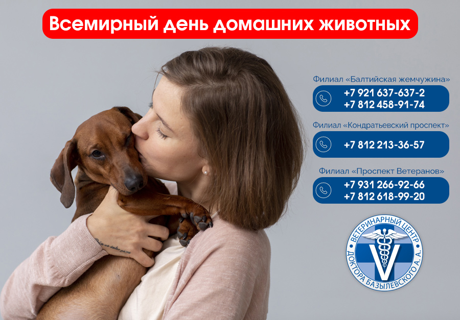vsemirnyy-den-domashnih-zhivotnyh