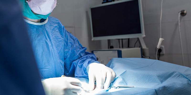 veterinarnyy-vrach-provodit-operaciyu