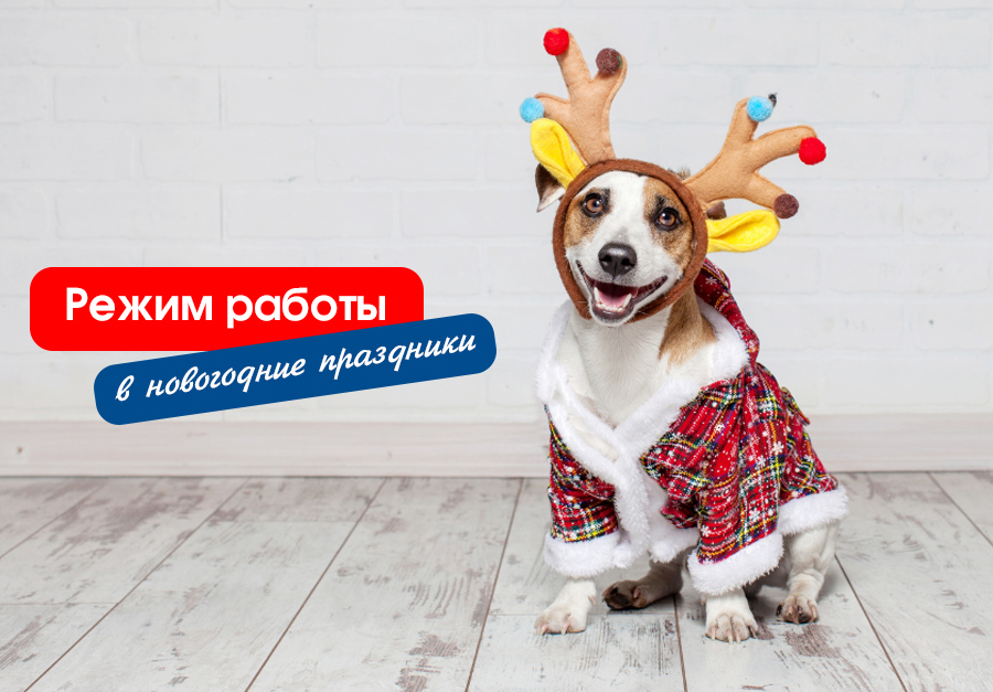 rezhim-raboty-v-novogodnie-prazdniki