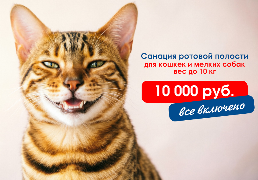 sanaciya-rotovoy-polosti-veteranov-3