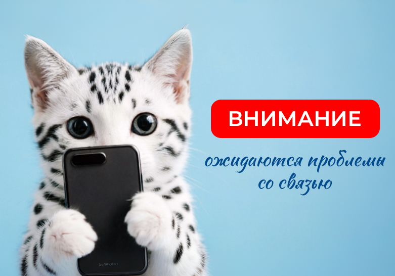 problemy-so-svyazyu